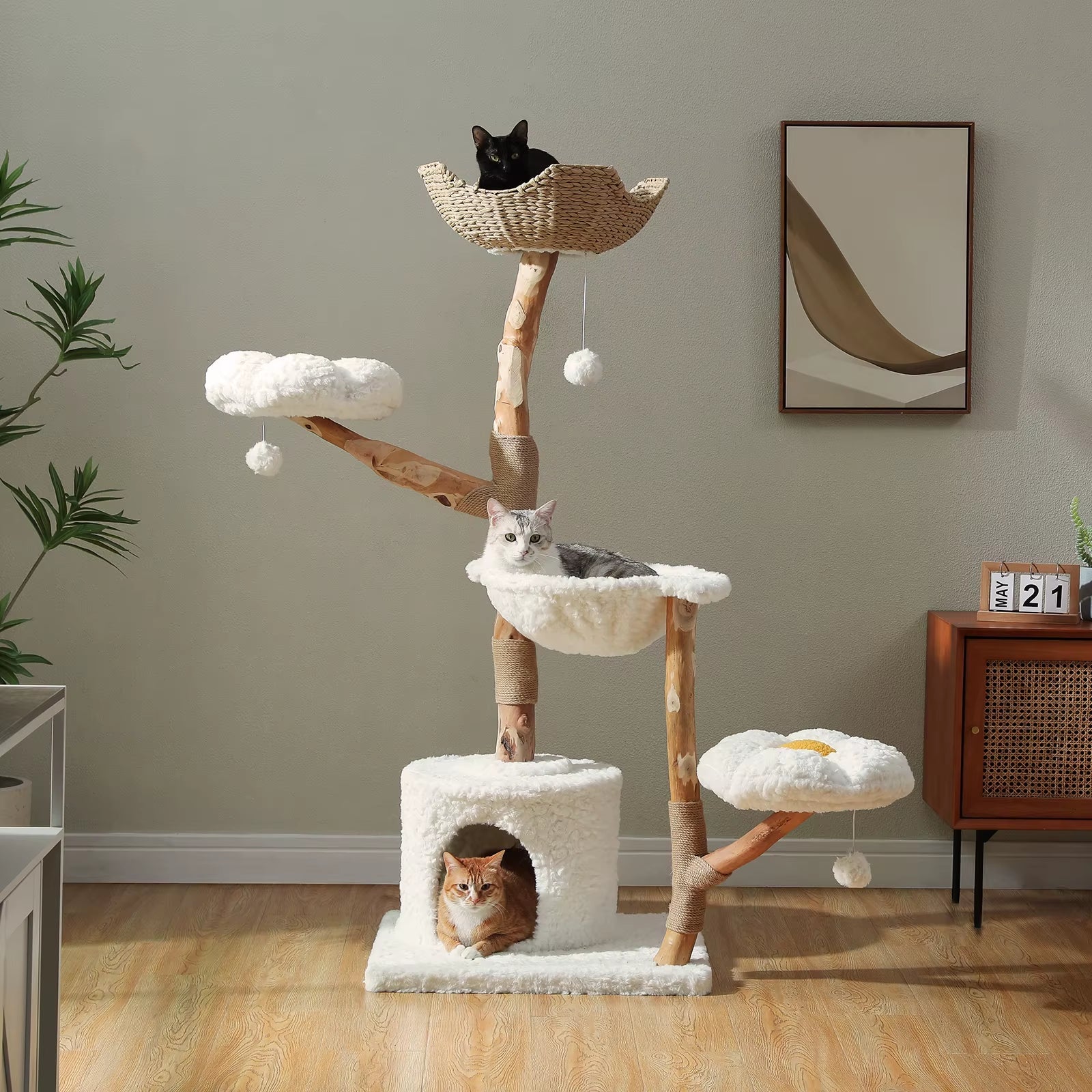 Cat Trees & Scratchers
