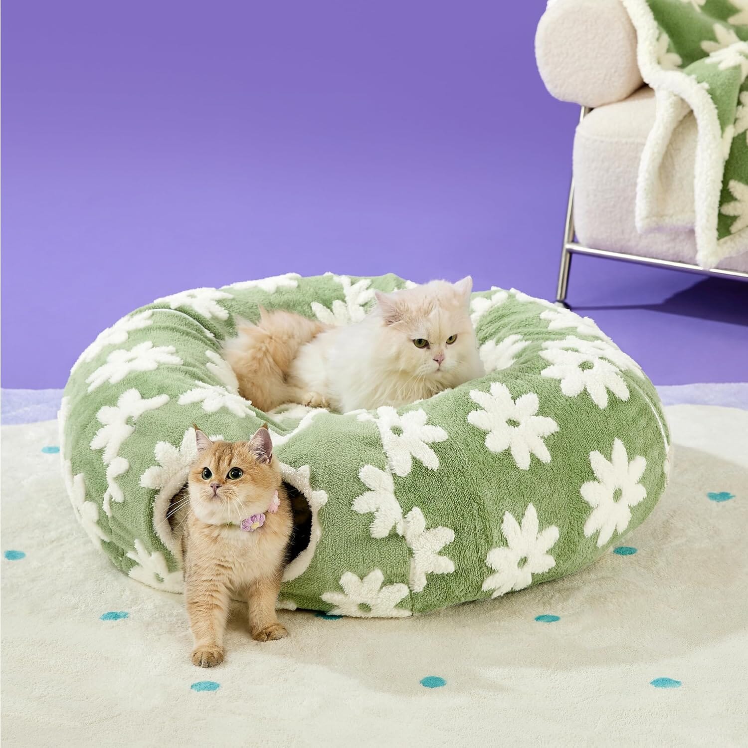 Chic 2-In-1 Cat Tunnel Bed