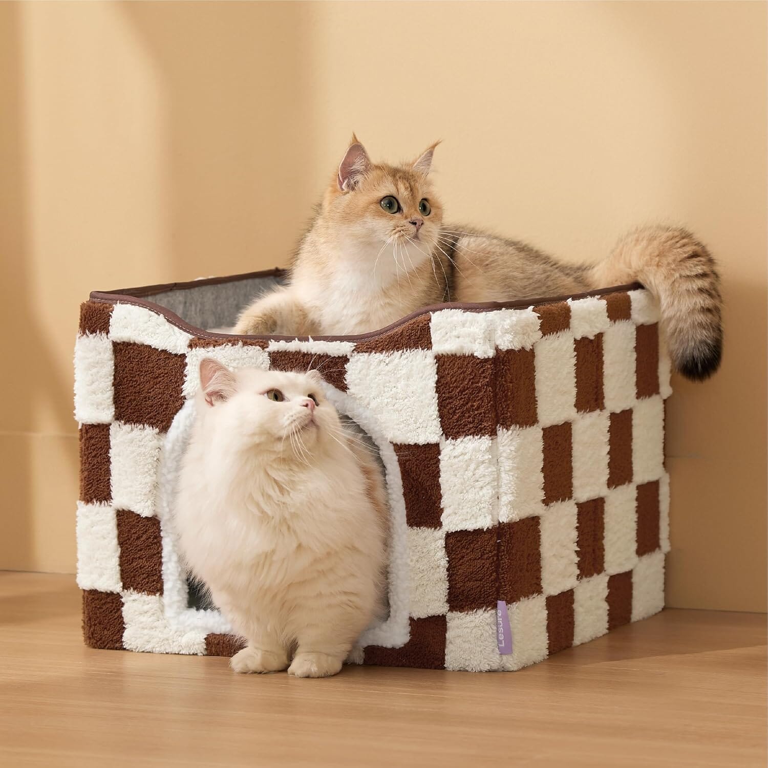 Chic Cat Cube