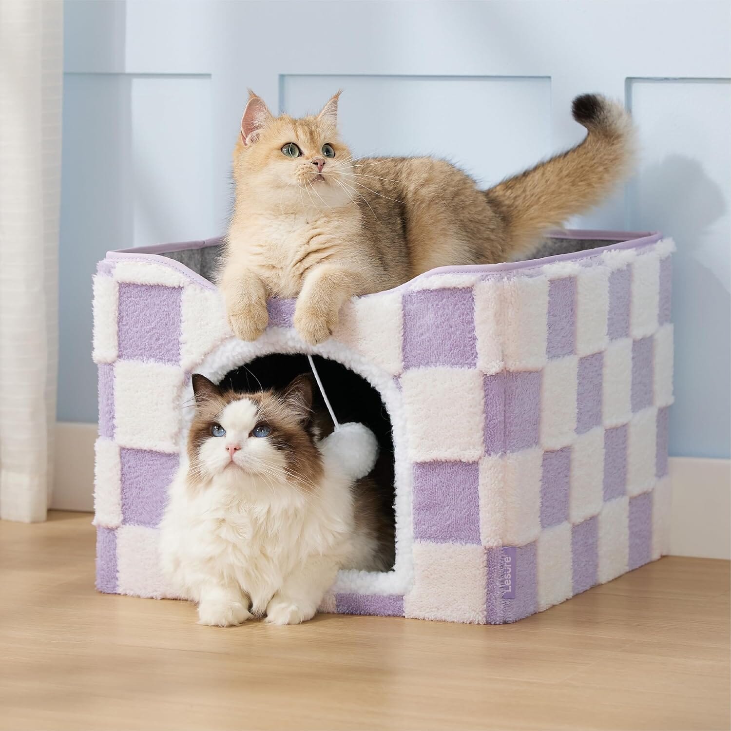 Chic Cat Cube