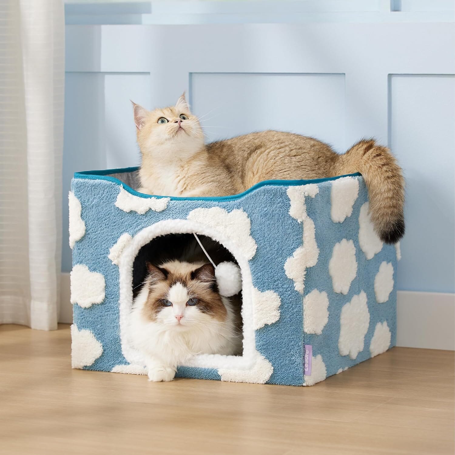 Chic Cat Cube