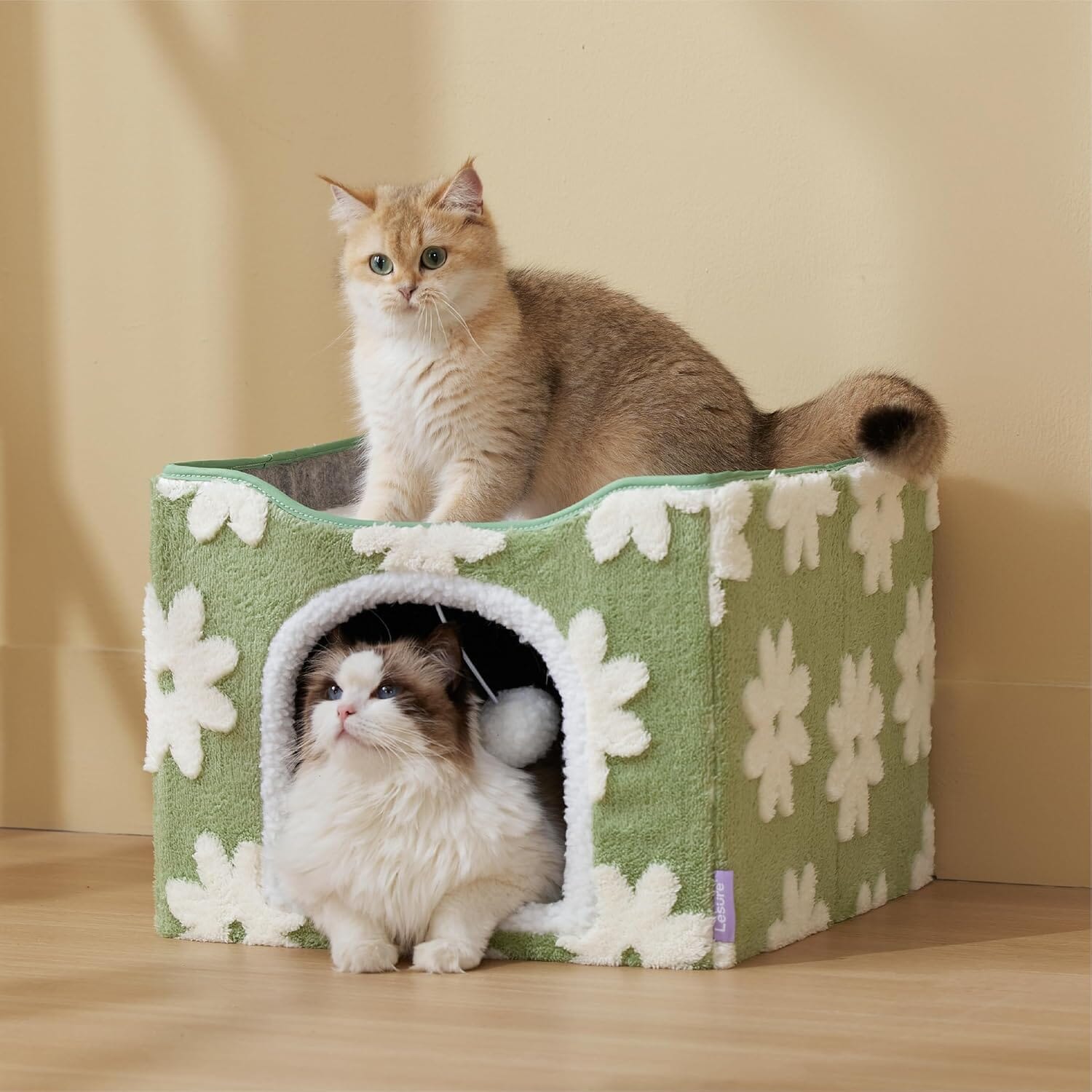 Chic Cat Cube
