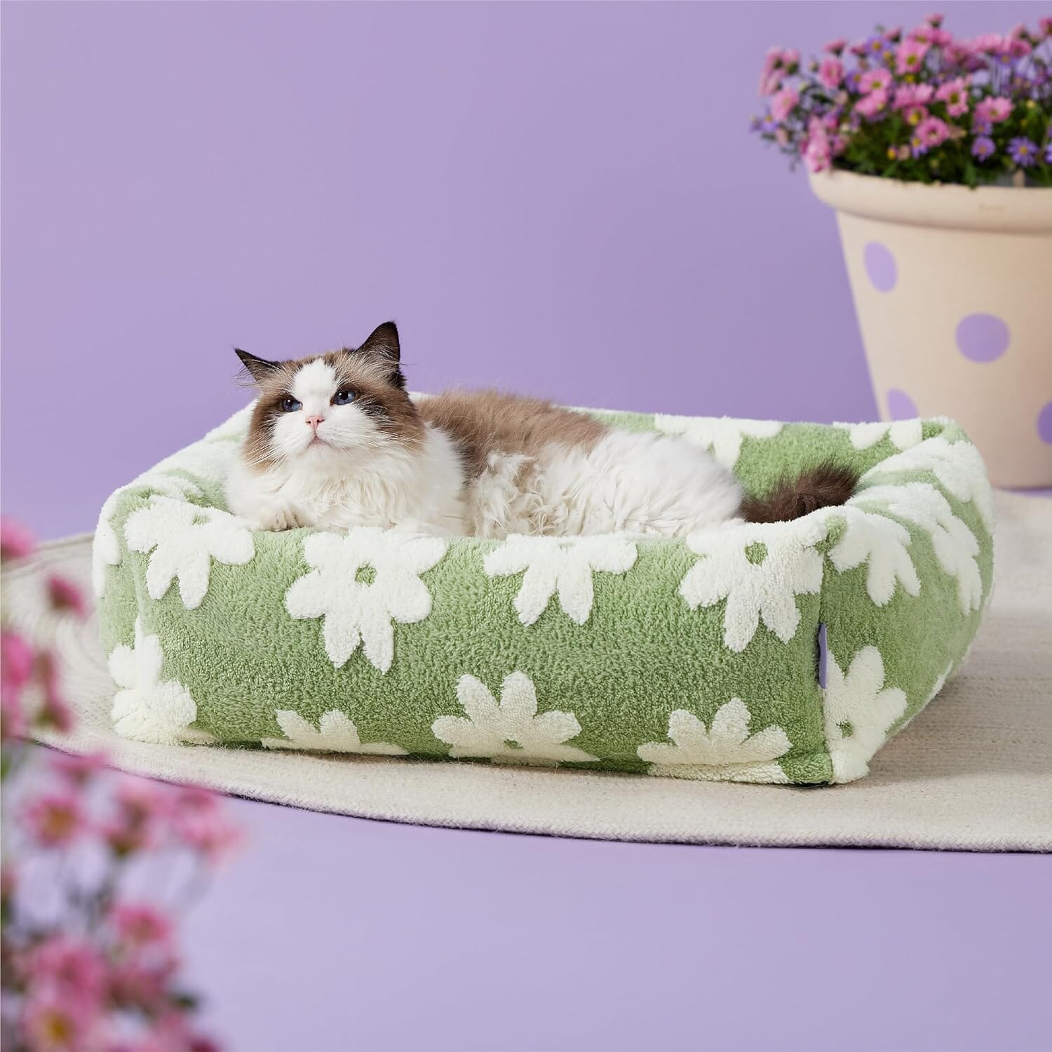Chic Rectangle Pet Bed