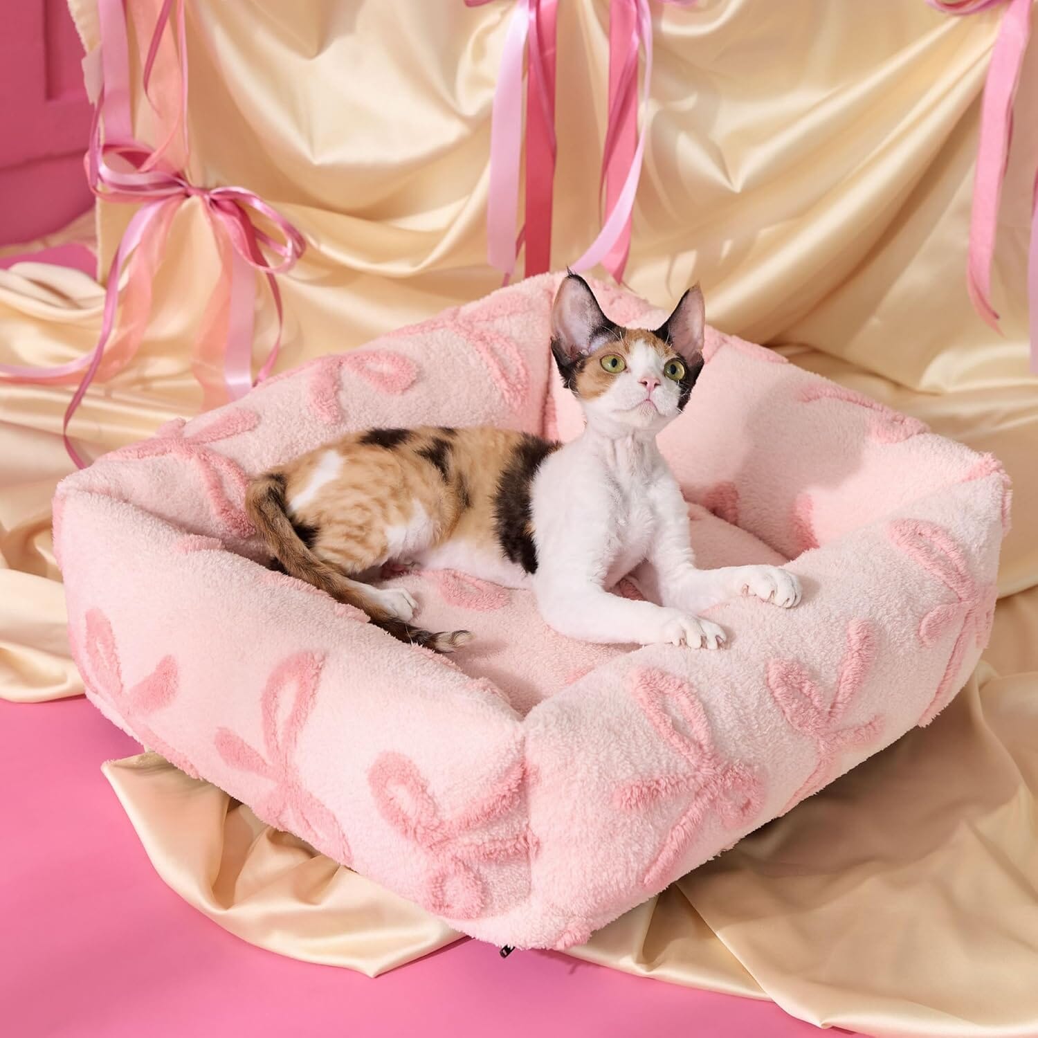 Chic Rectangle Pet Bed