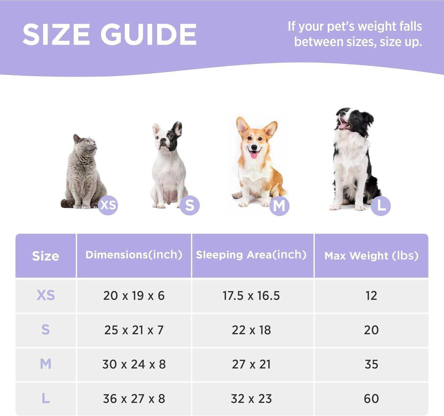 Chic Rectangle Pet Bed