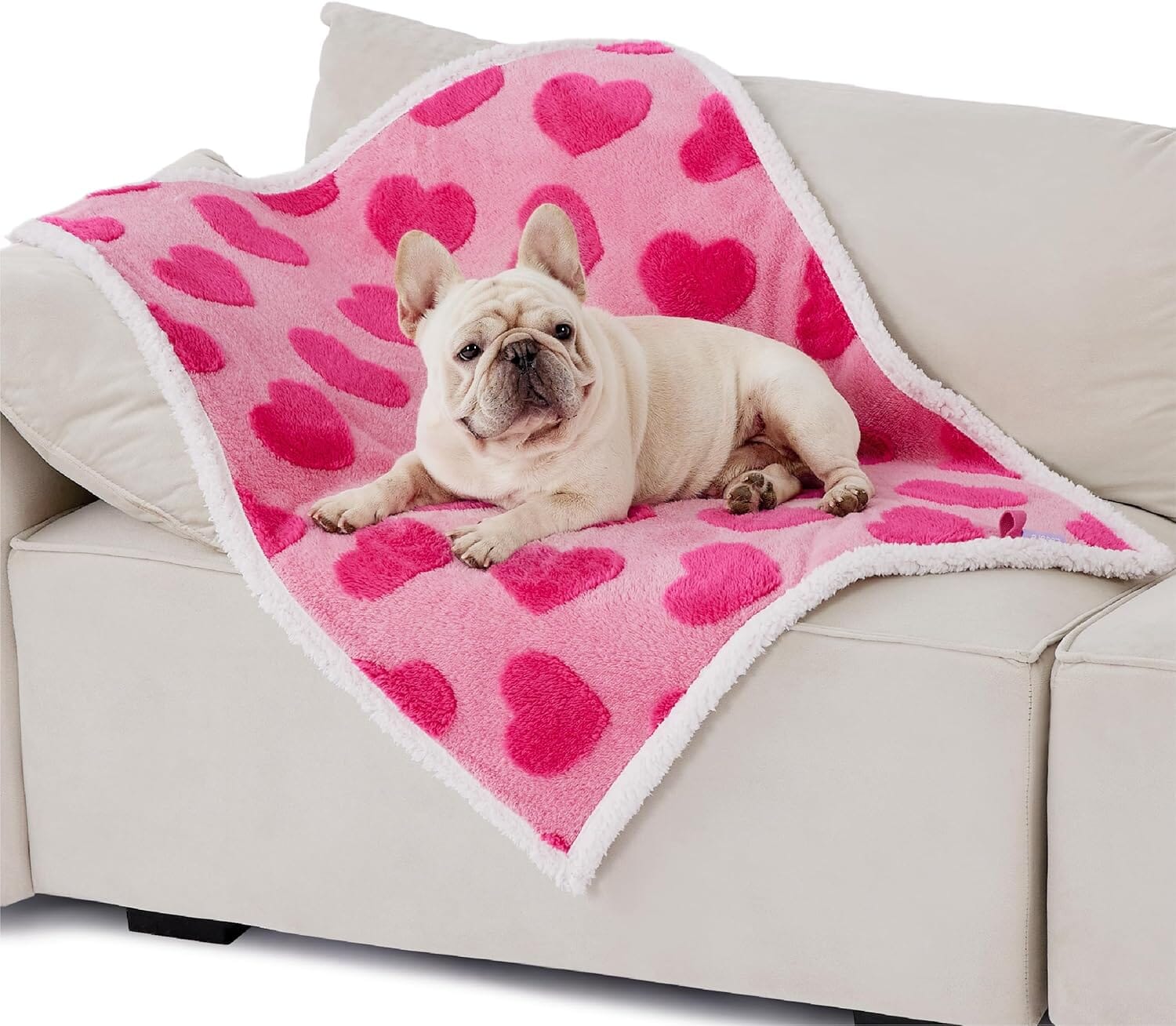 Chic Waterproof Pet Blanket