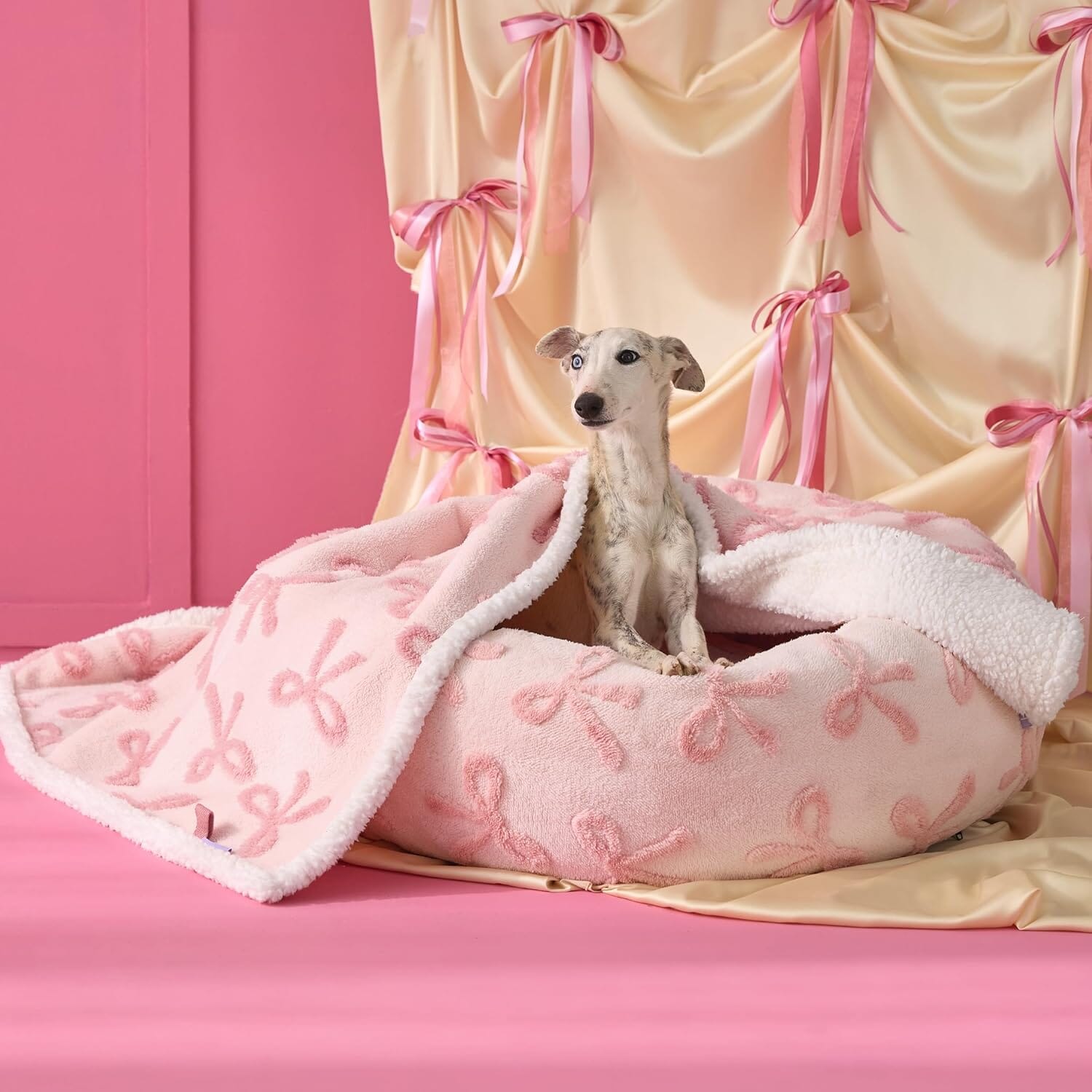 Chic Waterproof Pet Blanket