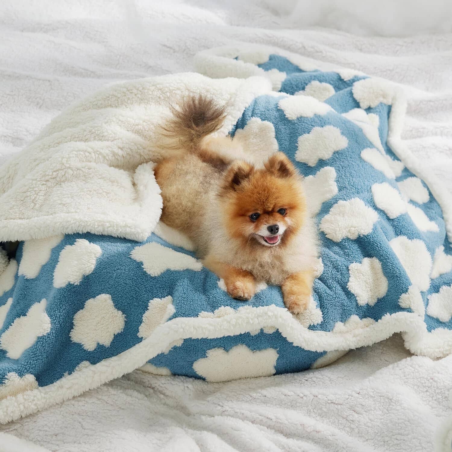 Chic Waterproof Pet Blanket