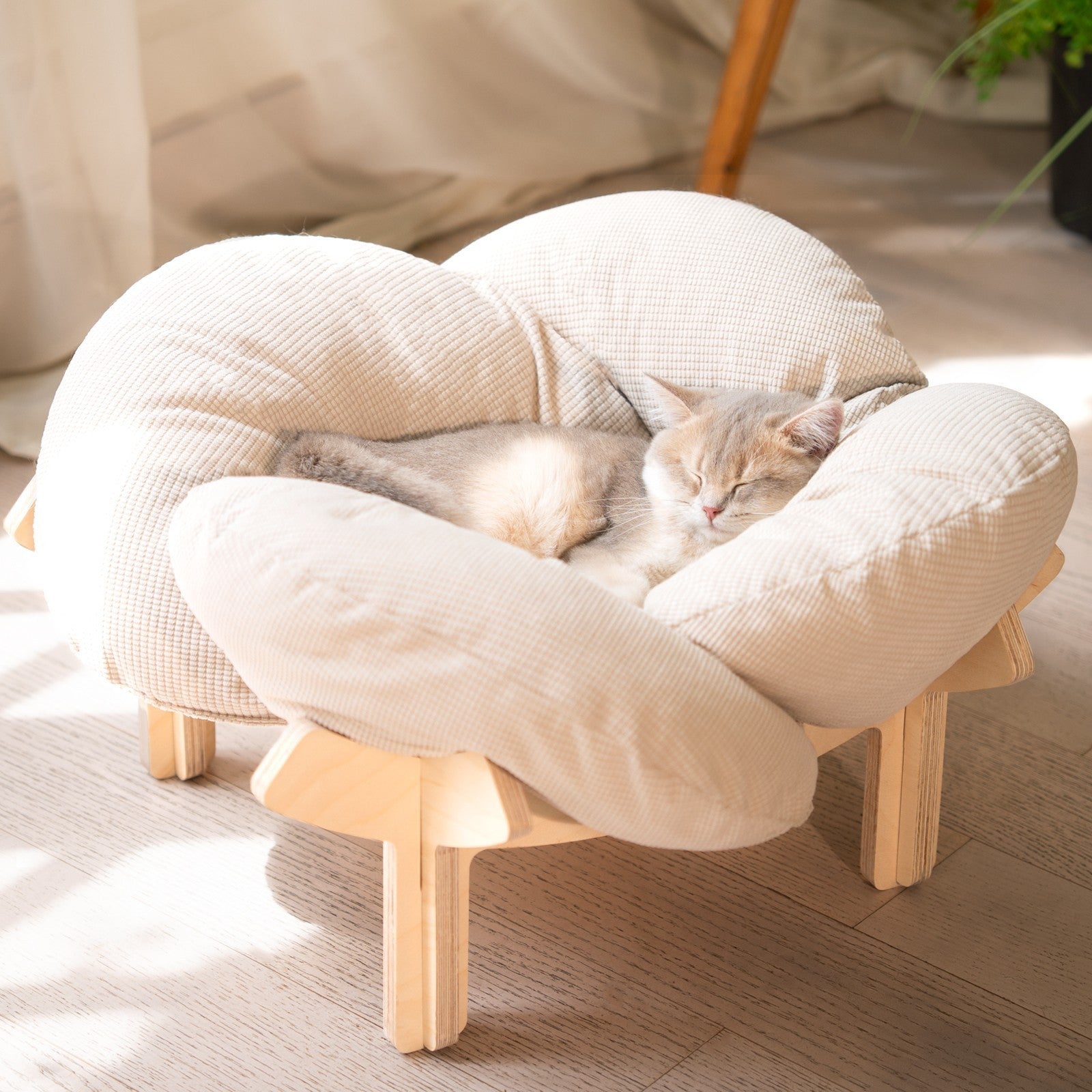 Elevated Wooden Bed with Cushion